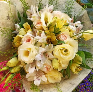 עדן האלסטרו