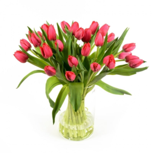 זר טוליפים אדומים