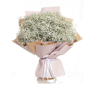 זר גיבסנית עדין